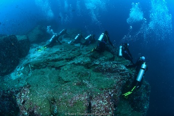 Divers on a submerged reef looking for sharks